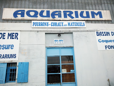 Aquaexotic à Saint-Paul-lès-Romans