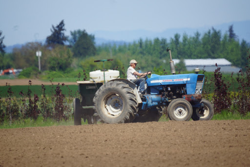 Produce Market «B&P Hitz Fruit Farm (Apples N Produce)», reviews and photos, 14070 Wilco Hwy NE, Woodburn, OR 97071, USA