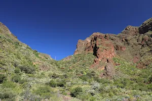 Barranco de Guayadeque image