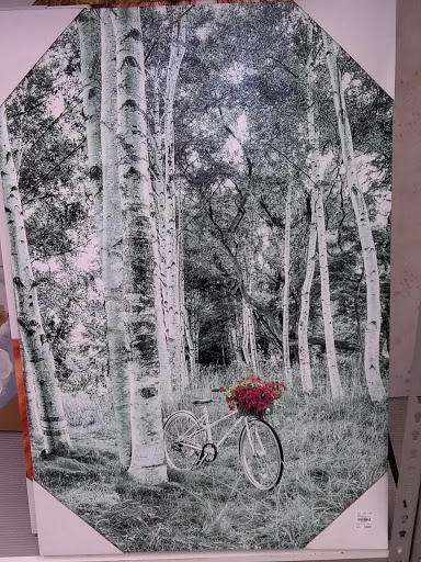 Home Goods Store «Tuesday Morning», reviews and photos, 23314 Farmington Rd, Farmington, MI 48336, USA