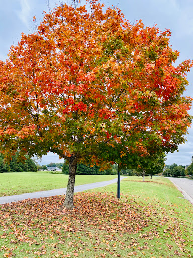 Golf Club «Riverfront Golf Club», reviews and photos, 5200 River Club Dr, Suffolk, VA 23435, USA