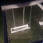 Photo n°4 de l'avis de gian.a fait le 29/06/2019 à 05:10 sur le  Misterò Beach Club Restaurant à Monte di Procida