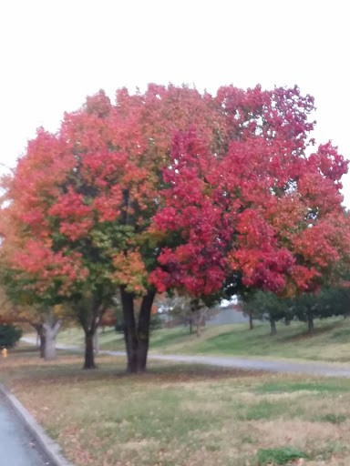Electronics Store «Best Buy», reviews and photos, 5520 E Skelly Dr, Tulsa, OK 74135, USA