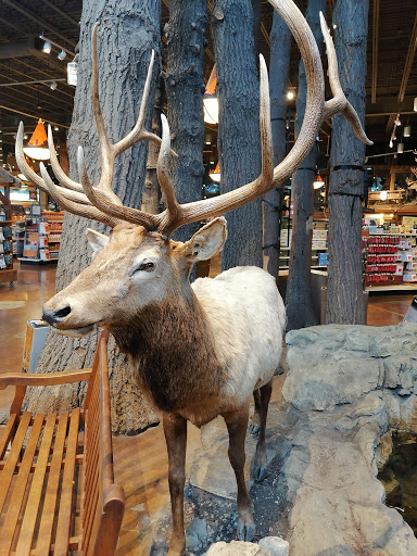 Shopping Mall «Gurnee Mills», reviews and photos, 6170 W Grand Ave, Gurnee, IL 60031, USA