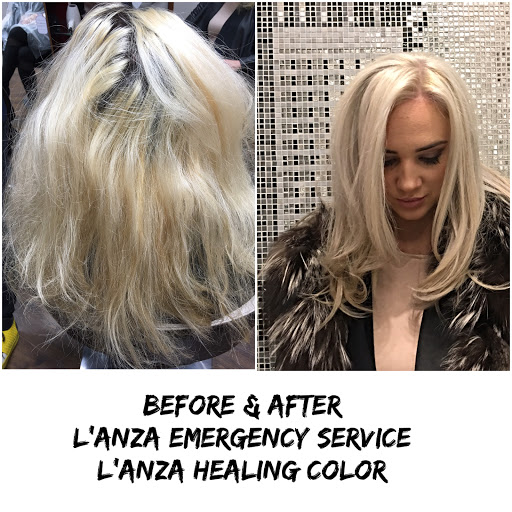 Hair Salon «European Style Salon - Hair Salon», reviews and photos, 1980 E Stop 13 Rd, Indianapolis, IN 46227, USA