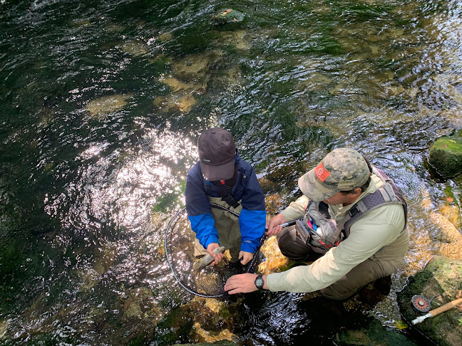 Minho Fly Fishing - Restaurante