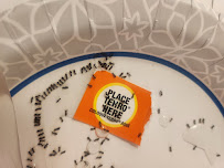 Woodstream Corporation - Photo 1 - Car repair in Lancaster, PA, Lancaster