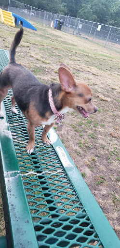 Memorial Park «Alvin P. Williams Memorial Park», reviews and photos, Port Reading Ave, Sewaren, NJ 07077, USA