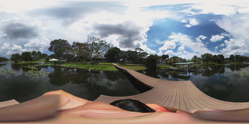 Park «Scotty Cooper Park», reviews and photos, 10849 Carrollwood Dr, Carrollwood, FL 33618, USA