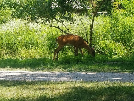 Nature Preserve «Sweet Briar Nature Center», reviews and photos, 62 Eckernkamp Dr, Smithtown, NY 11787, USA