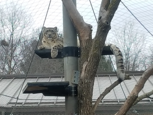 Zoo «Blank Park Zoo», reviews and photos, 7401 SW 9th St, Des Moines, IA 50315, USA