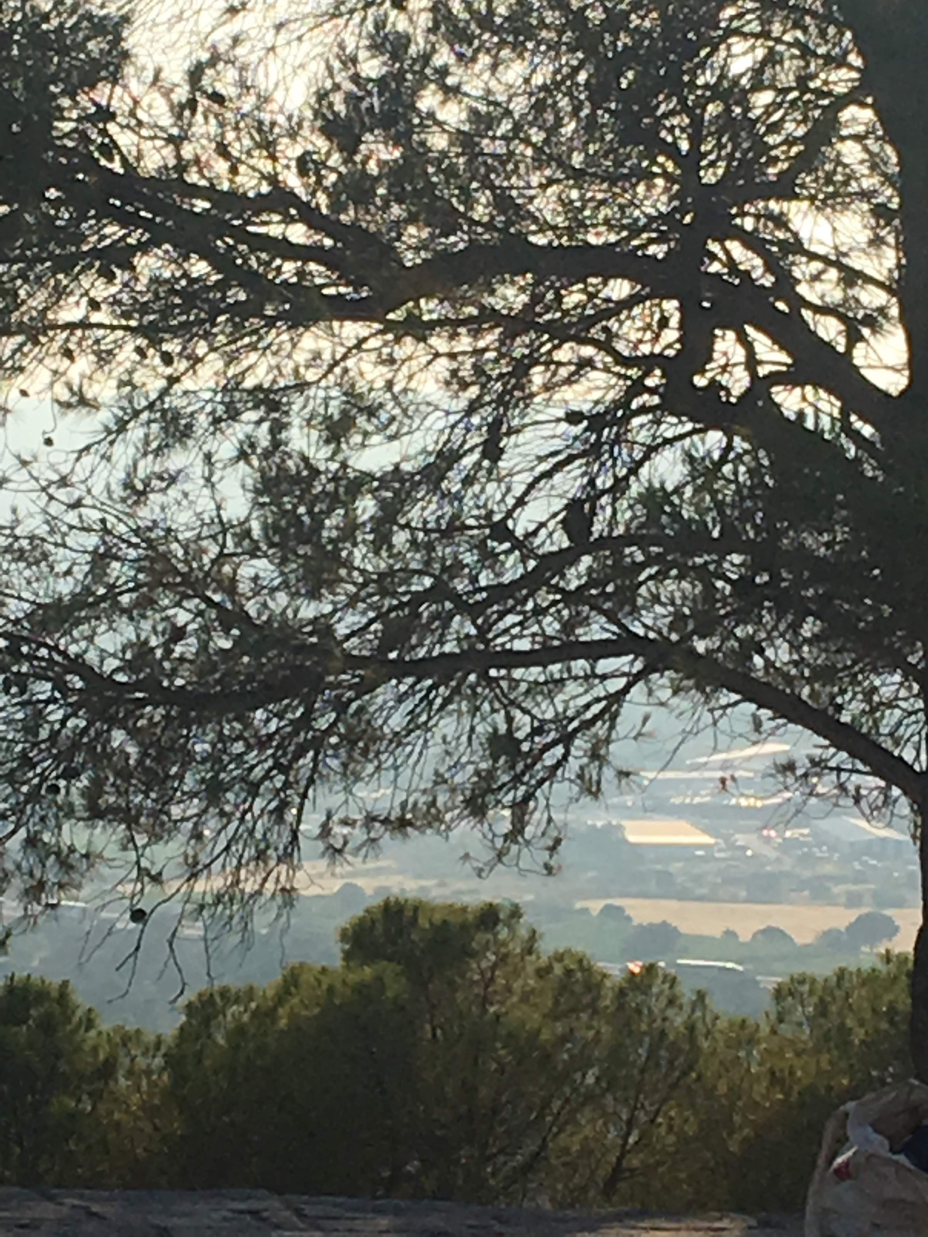 Photo n° 2 de l'avis de Sophie.a fait le 09/07/2019 à 07:48