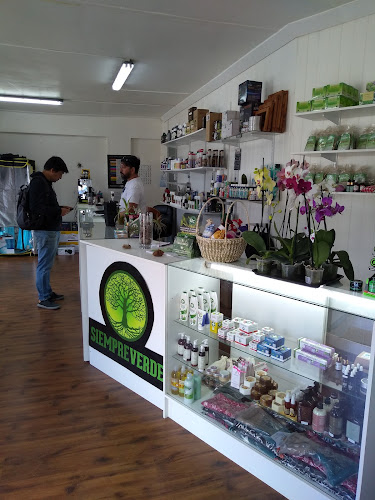 Opiniones de Grow shop SiempreVerde en Valdivia - Tienda