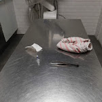 Photo n° 2 de l'avis de Slick.o fait le 03/11/2019 à 09:00 pour Clinique vétérinaire: Veto34 URGENCES VÉTÉRINAIRES 24/24H à Le Perreux-sur-Marne