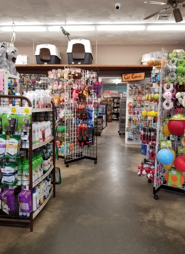 Pet Store «Just Pets», reviews and photos, 393 NY-5, Irving, NY 14081, USA