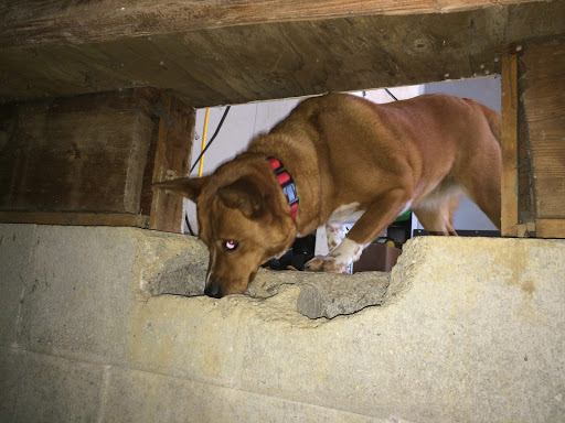 Fire Damage Restoration Service «Michaelis Corporation», reviews and photos, 2601 E 56th St, Indianapolis, IN 46220, USA