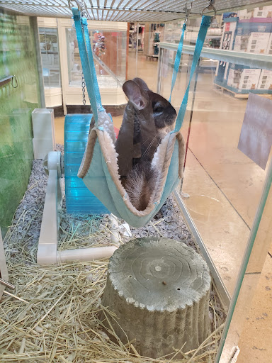 Pet Supply Store «PetSmart», reviews and photos, 7730 S Cicero Ave, Burbank, IL 60459, USA