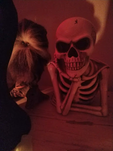 Wine Store «The Wine Country», reviews and photos, 2301 Redondo Ave, Signal Hill, CA 90755, USA