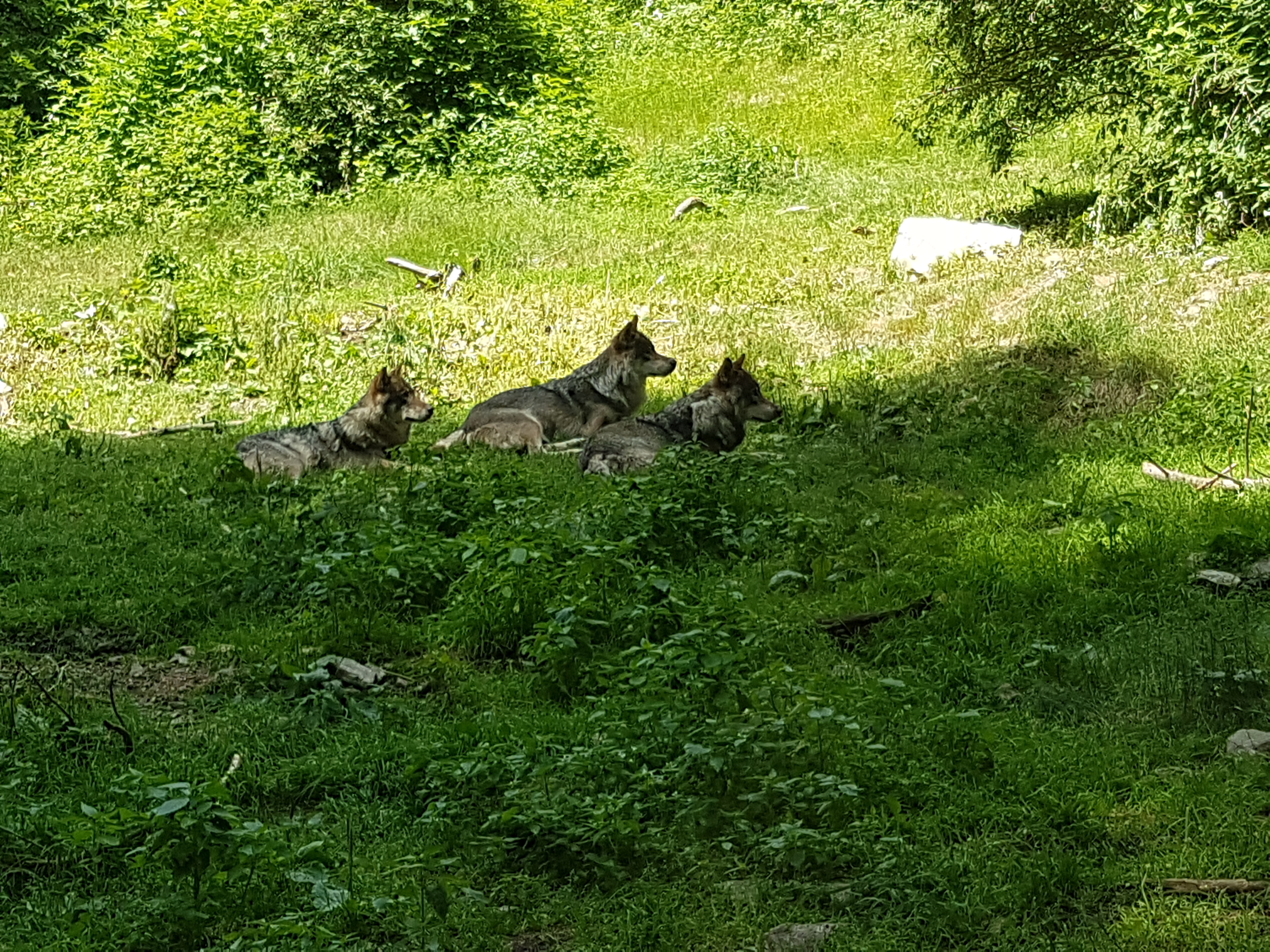 Photo n° 1 de l'avis de Emilie.a fait le 16/07/2019 à 17:58
