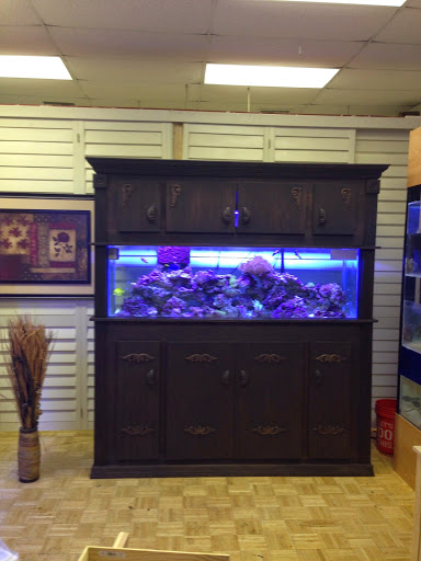 Tropical Fish Store «Hooked On Reefs», reviews and photos, 228 Hibiscus St #1, Jupiter, FL 33458, USA