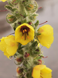 Photo n°16 de Centre Porsche Service Monaco à Beausoleil ()