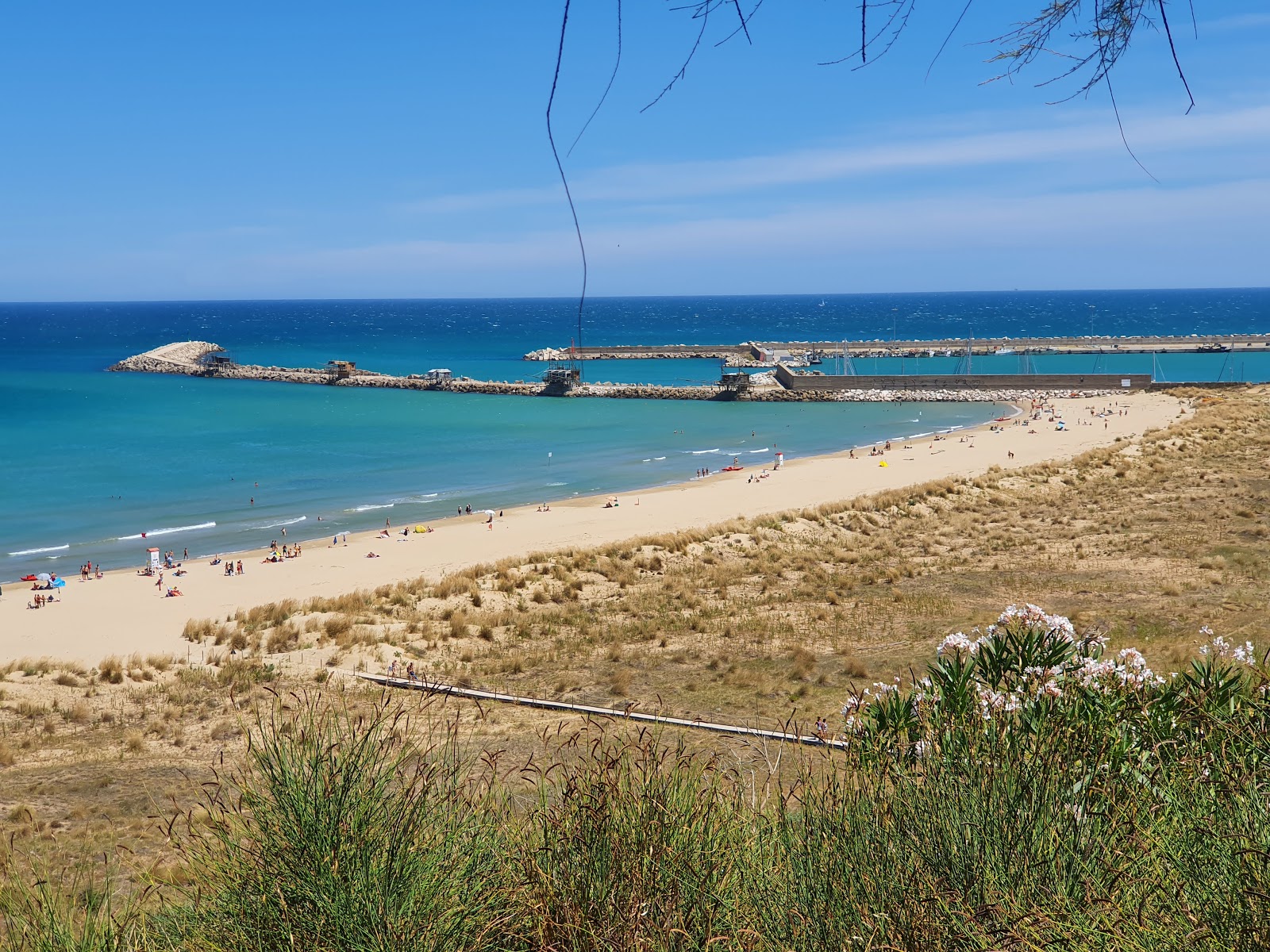Spiaggia di Punta Penna'in fotoğrafı i̇nce kahverengi kum yüzey ile