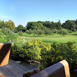 Photo n°3 de l'avis de petra.c fait le 10/09/2019 à 15:01 sur le  Panorama Restaurant Pizzeria Bei Pippo Ulm à Ulm