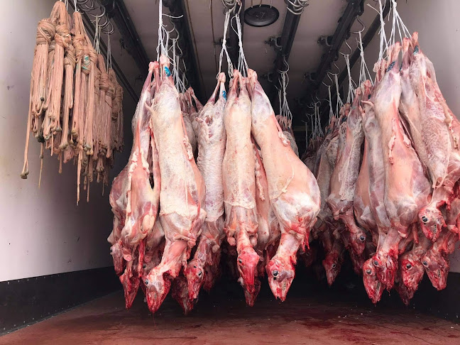 Comentarii opinii despre ΠΑΡΑΣΚΕΥΟΠΟΥΛΟΣ ΝΙΚΟΛΑΟΣ