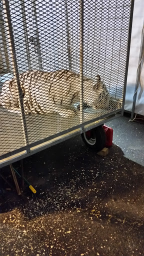 Hardware Store «Buchheit Of Herculaneum», reviews and photos, 200 Riverview Plaza Dr, Herculaneum, MO 63048, USA