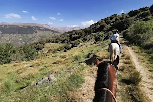 Sierra Trails image