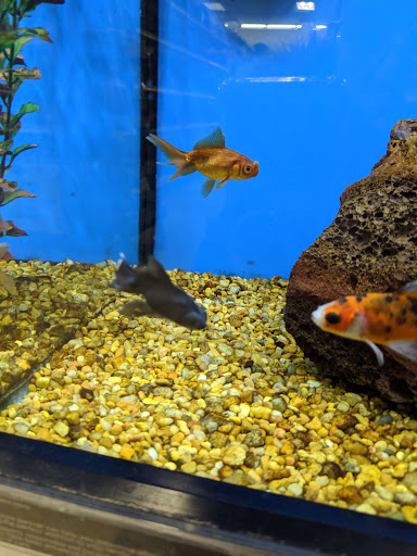 Pet Supply Store «Petco Animal Supplies», reviews and photos, 1930 SW Wanamaker Rd, Topeka, KS 66604, USA