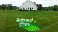 Stripes of Green - Car repair in , Reading - Rated 5.0/5