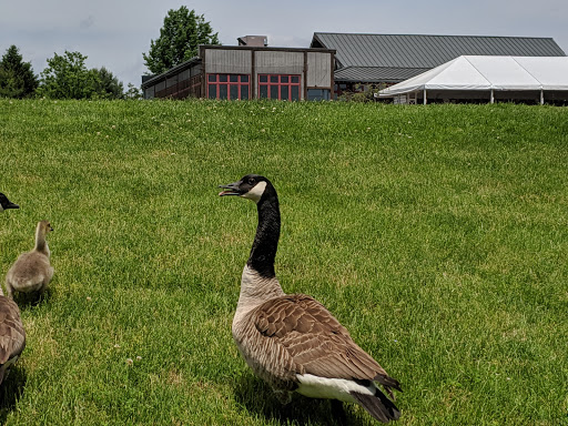 Golf Course «Liberty Forge», reviews and photos, 3804 Lisburn Rd, Mechanicsburg, PA 17055, USA