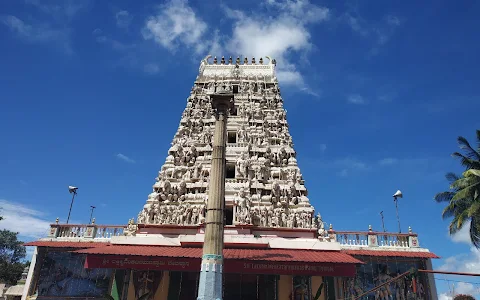 Shri Lakshmi Venkatramana Swami Gudi image