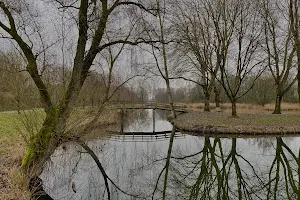 Hollandsche Biesbosch image