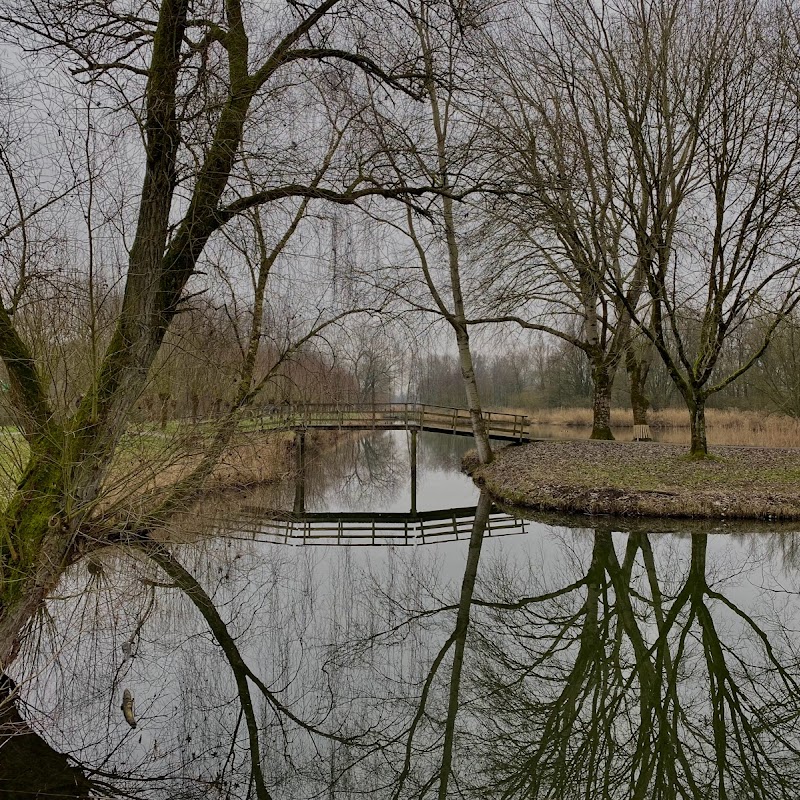 Hollandsche Biesbosch