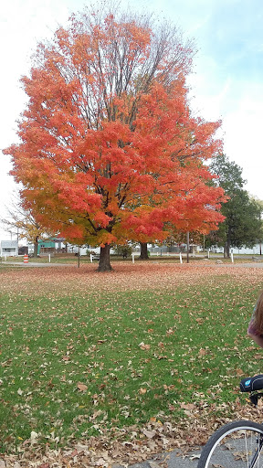 Fairground «Johnson County Indiana 4-H Fairgrounds», reviews and photos, 250 Fairground St, Franklin, IN 46131, USA