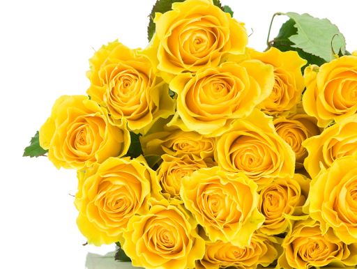 Florist «MyFlorist», reviews and photos, 1984 Chain Bridge Rd, McLean, VA 22102, USA