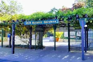 UC Riverside Botanic Gardens image