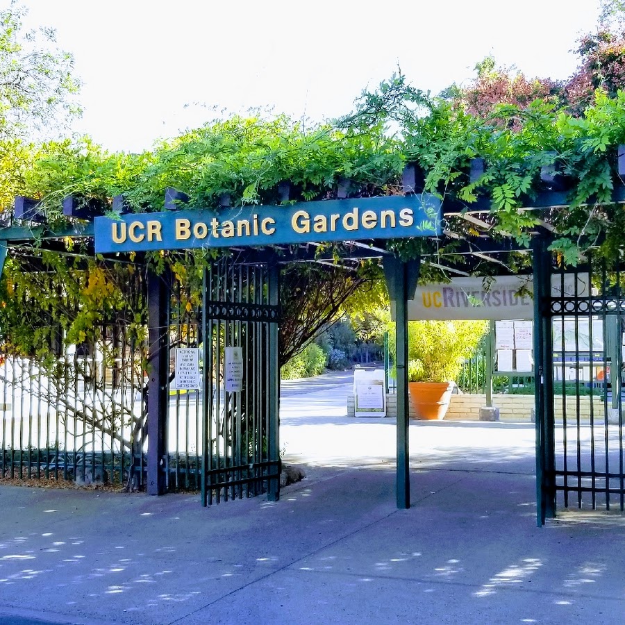 UC Riverside Botanic Gardens