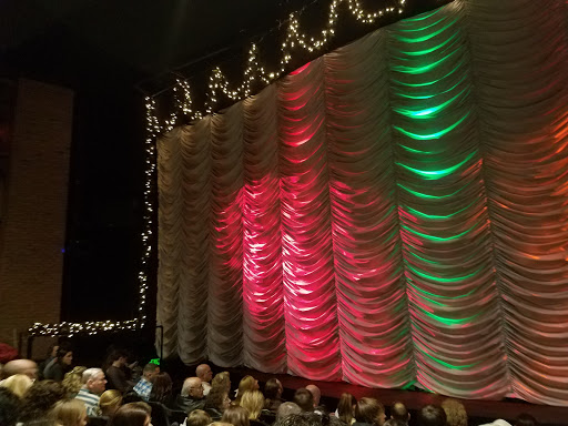 Performing Arts Theater «Meadow Brook Theatre», reviews and photos, 378 Meadow Brook Rd, Rochester, MI 48309, USA
