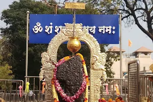 Shree Shanidev Temple, Shani Shingnapur image