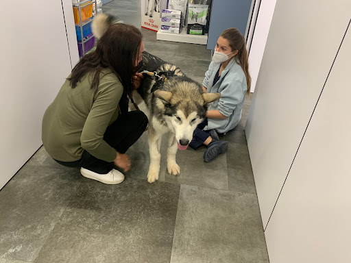 Avinguda Veterinaris en L'Hospitalet de Llobregat