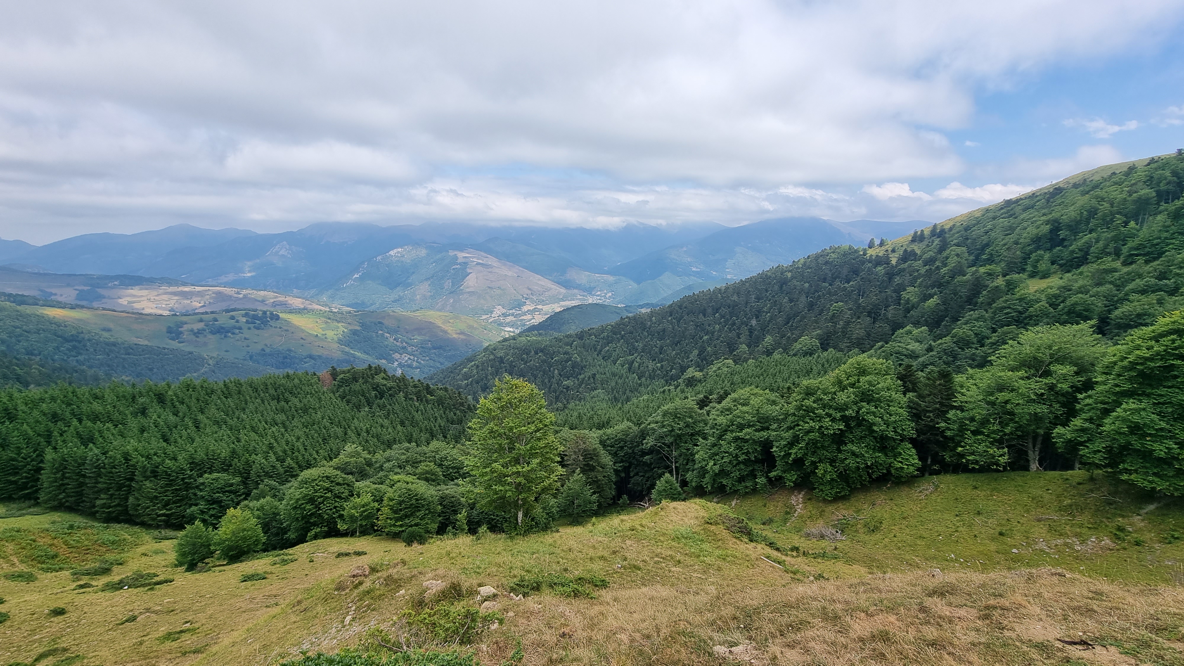 Photo n° 2 de l'avis de Seb.u fait le 15/08/2022 à 20:28