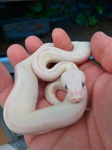 Pet Supply Store «Petco Animal Supplies», reviews and photos, 35 Fort Eddy Rd, Concord, NH 03301, USA