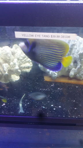 Pet Store «Alamo Aquatic Pets», reviews and photos, 6504 Bandera Rd, San Antonio, TX 78238, USA