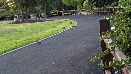 Dog Park «Memorial Park», reviews and photos, 5001-5011 Bollinger Canyon Rd, San Ramon, CA 94583, USA