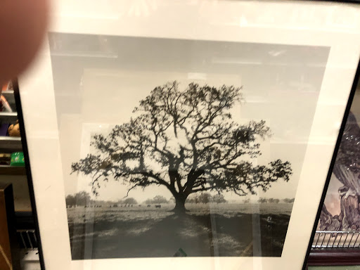 Non-Profit Organization «Walkersville Goodwill Retail Store & Donation Center», reviews and photos, 8425 Woodsboro Pike, Walkersville, MD 21793, USA