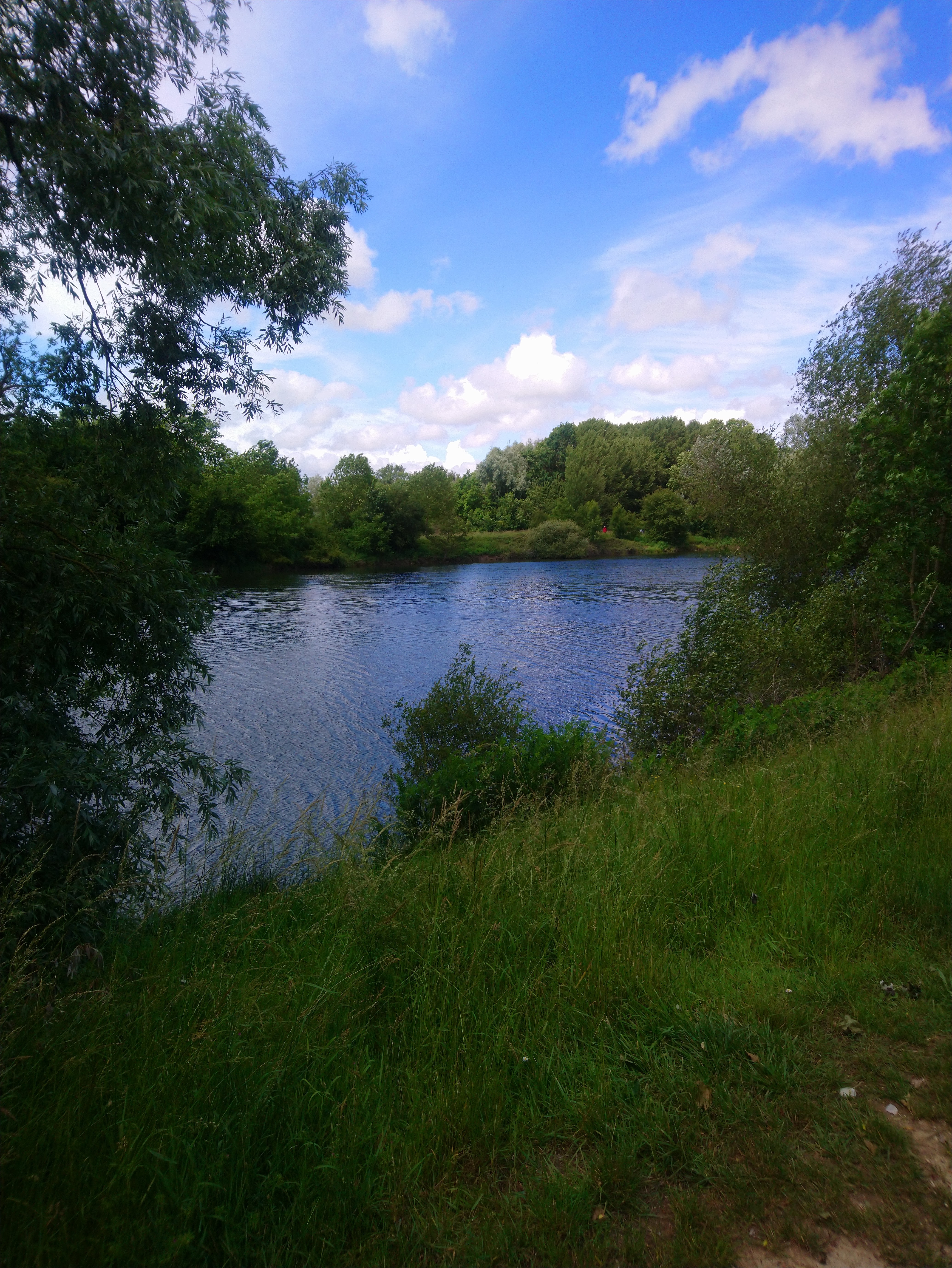 Photo n° 28 de l'avis de Lucien.e fait le 10/06/2019 à 14:26