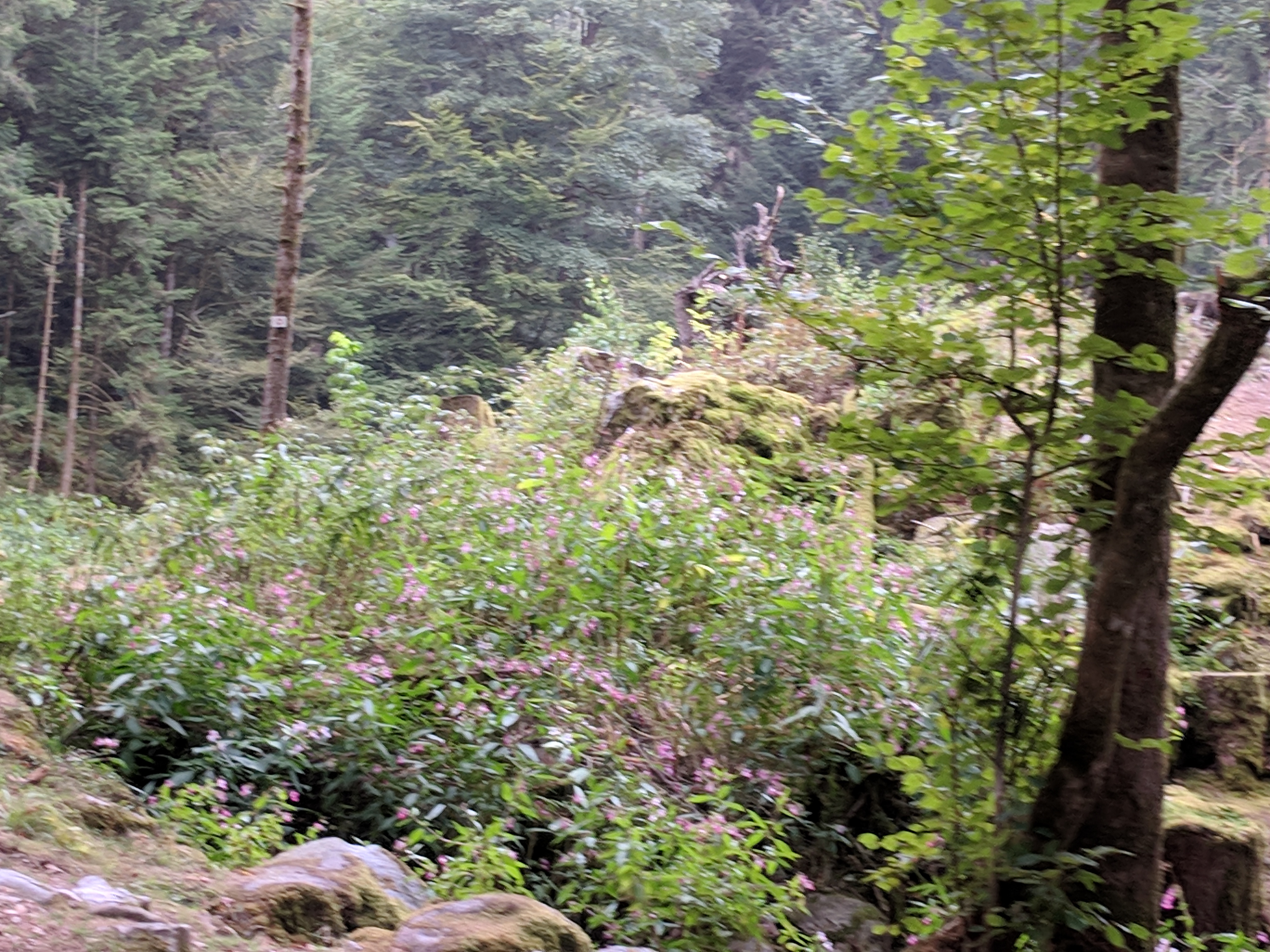 Photo n° 1 de l'avis de LAMBERT.r fait le 27/08/2018 à 11:58